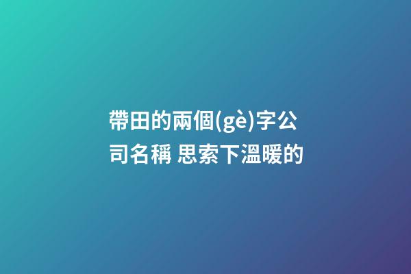 帶田的兩個(gè)字公司名稱 思索下溫暖的-第1張-公司起名-玄機(jī)派